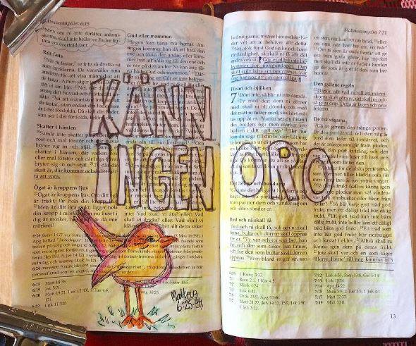 17760219_10154741623078052_1437330114701529935_n