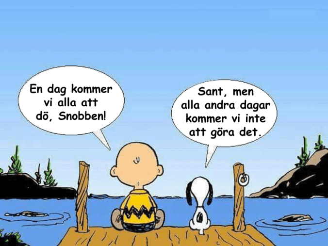 21105479_1835057343185963_2005928848133614049_n